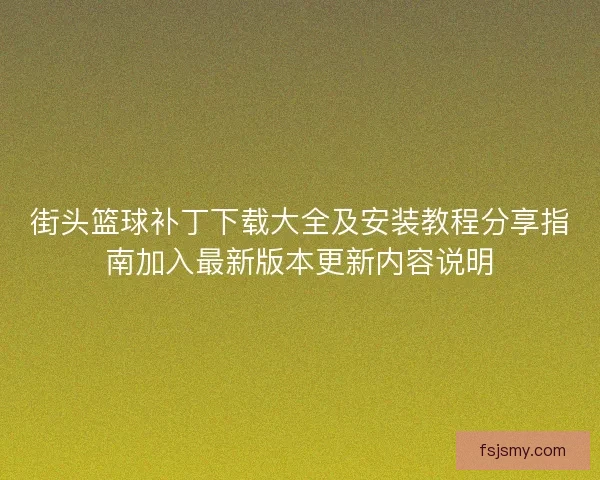 街头篮球补丁下载大全及安装教程分享指南加入最新版本更新内容说明