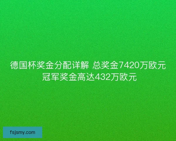 德国杯奖金分配详解 总奖金7420万欧元 冠军奖金高达432万欧元 德国杯奖金分配详解 总奖金7420万欧元 冠军奖金高达432万欧元